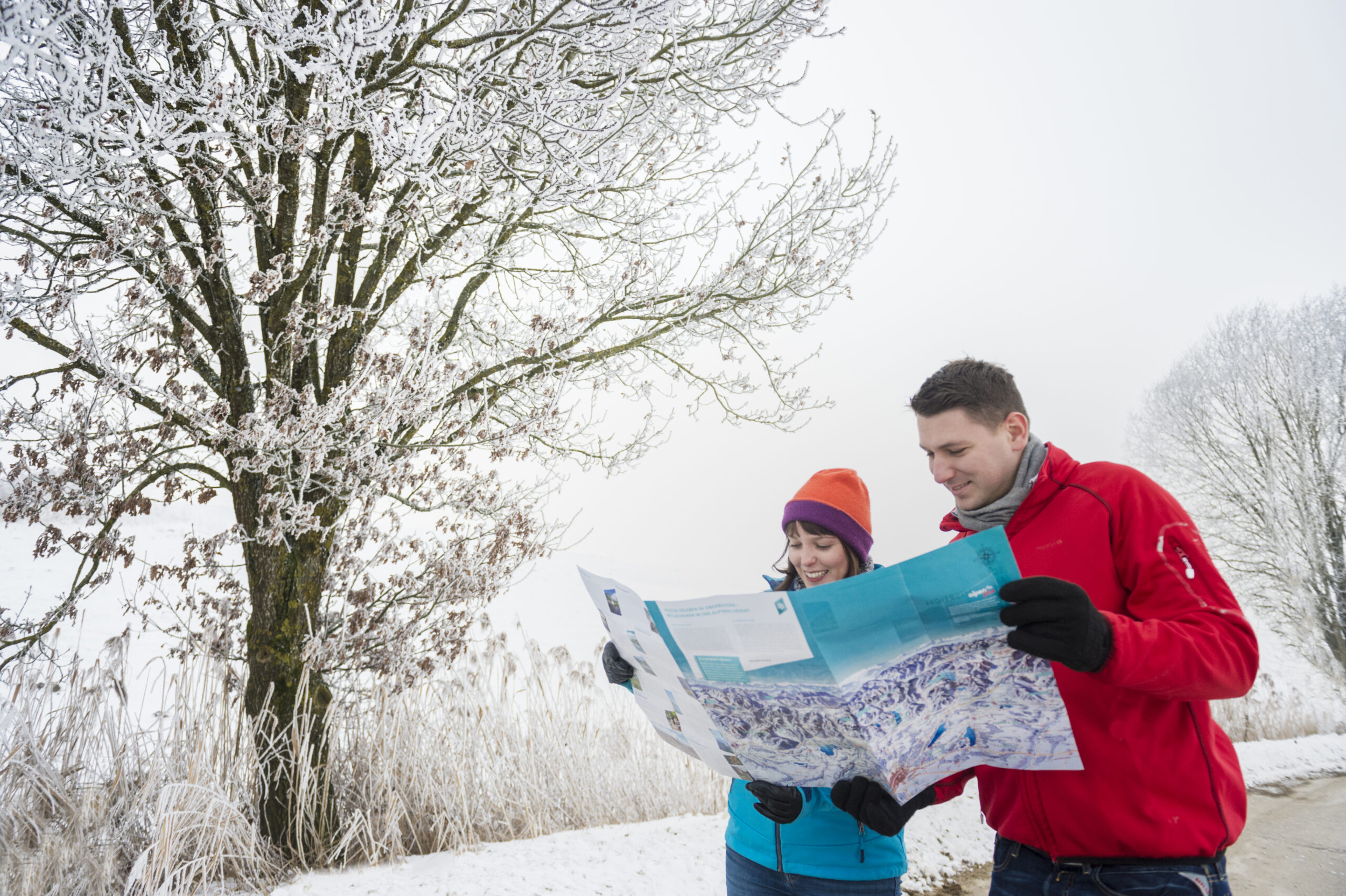 Winterlandschaft