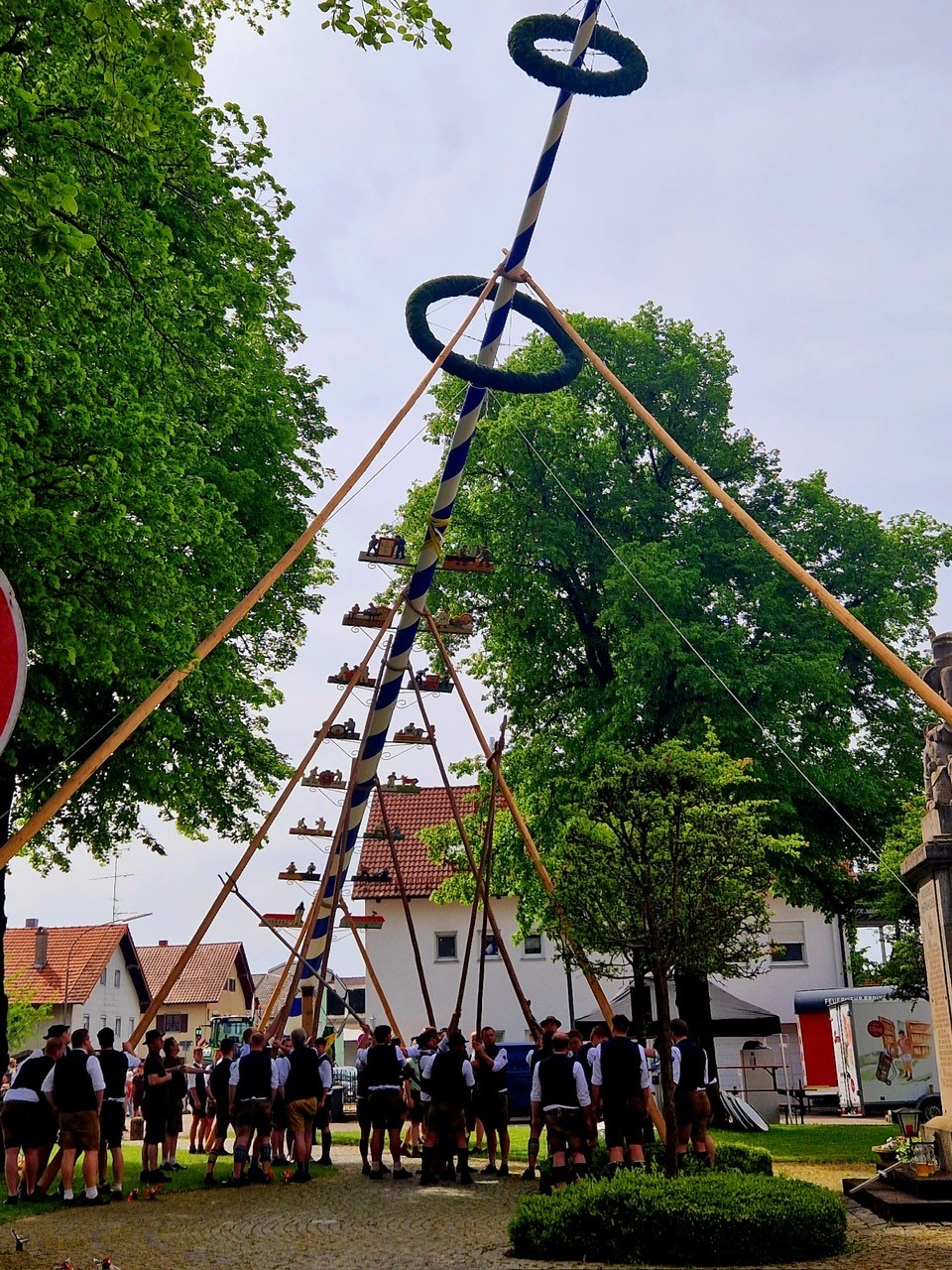 Maibaum Aufstellen
