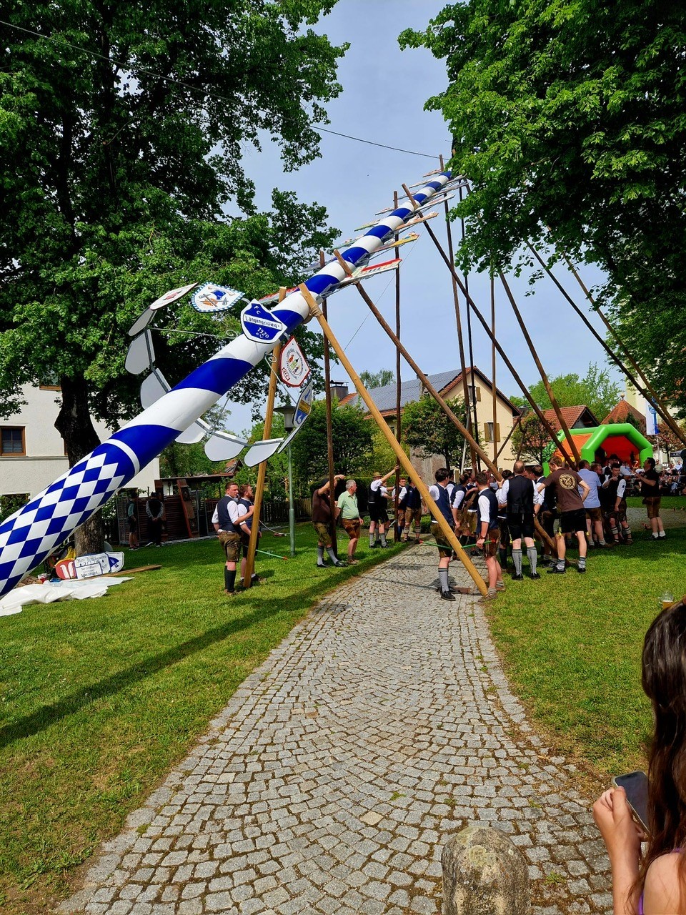Maibaum Aufstellen