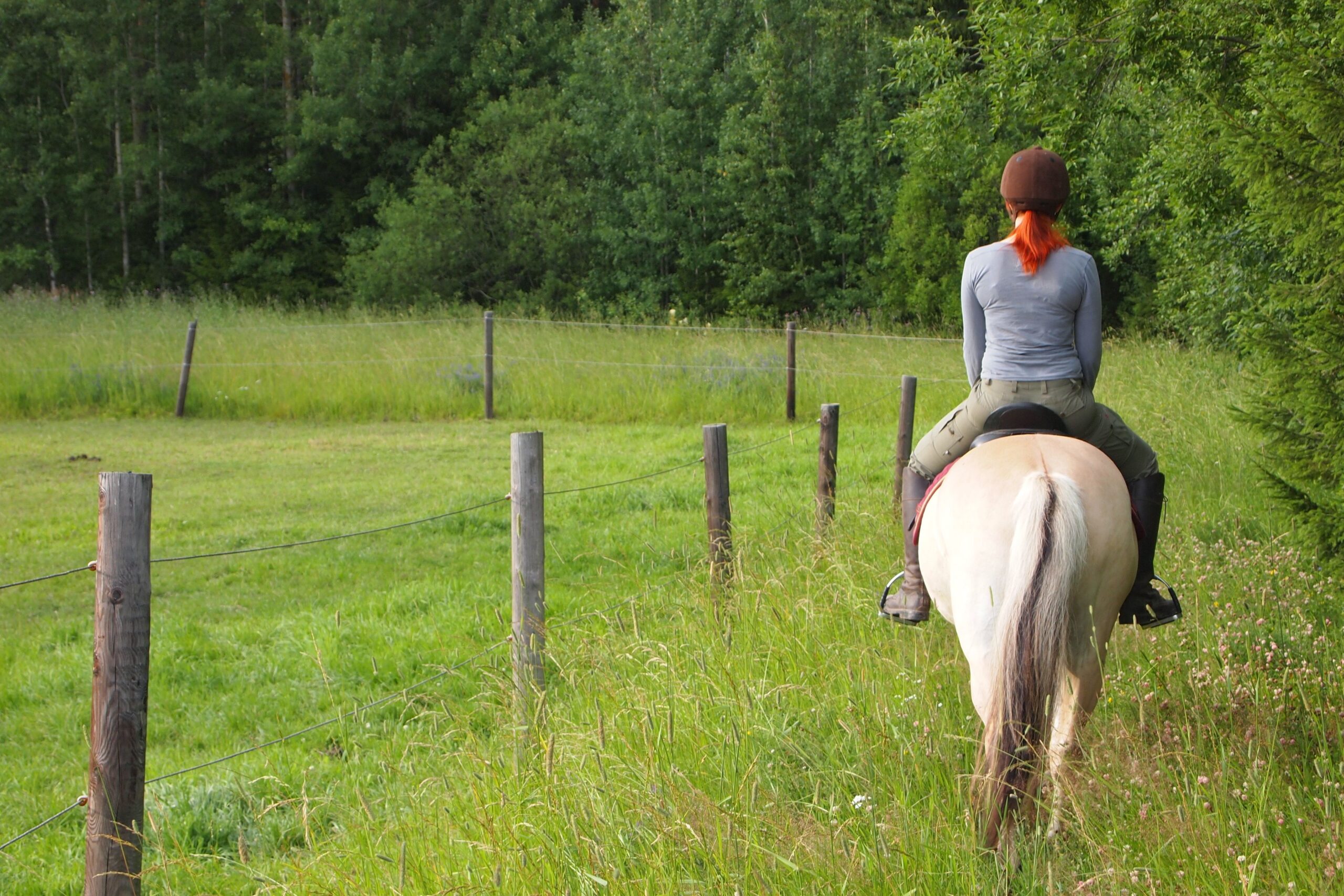 Reiten – tuikkis riding