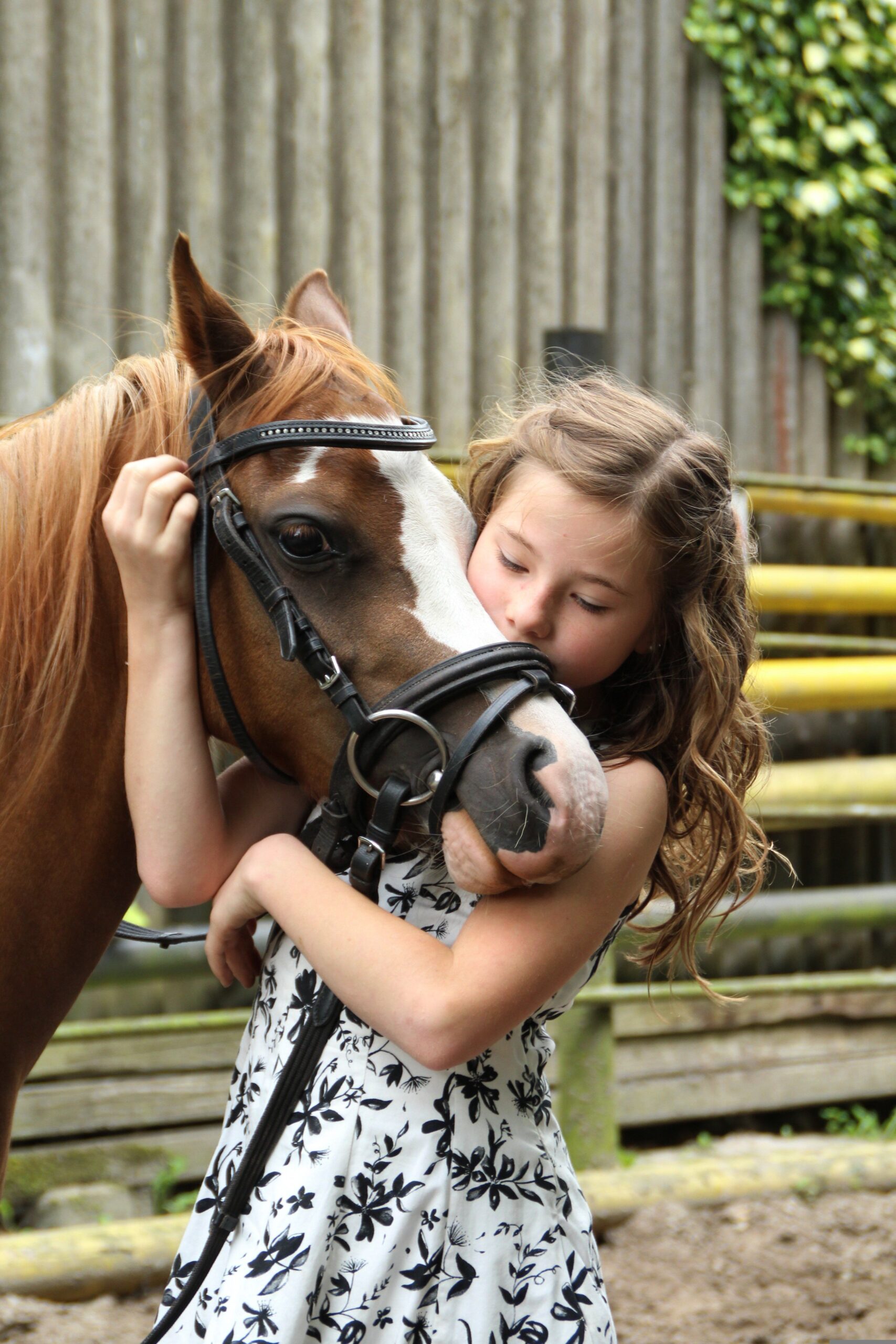 Reiten – uki 71 pony